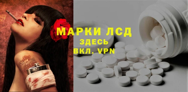 ГАЛЛЮЦИНОГЕННЫЕ ГРИБЫ Новозыбков