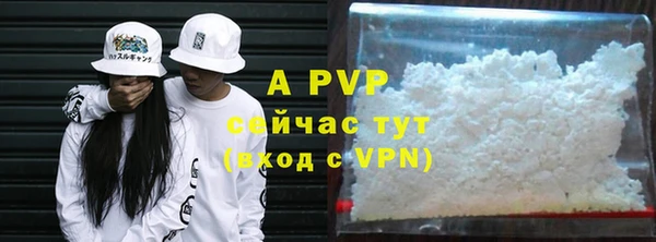 ГАЛЛЮЦИНОГЕННЫЕ ГРИБЫ Новозыбков