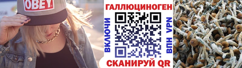 Галлюциногенные грибы прущие грибы  наркота  Спас-Клепики 