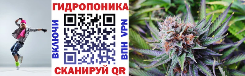 Бошки марихуана индика  Спас-Клепики 